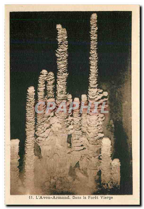 CPA L'Aven Armand Dans la Foret Vierge 