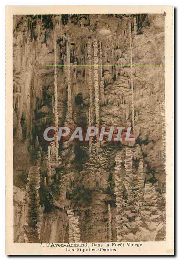 CPA L'Aven Armand Dans la Foret Vierge Les Aiguilles Geantes 
