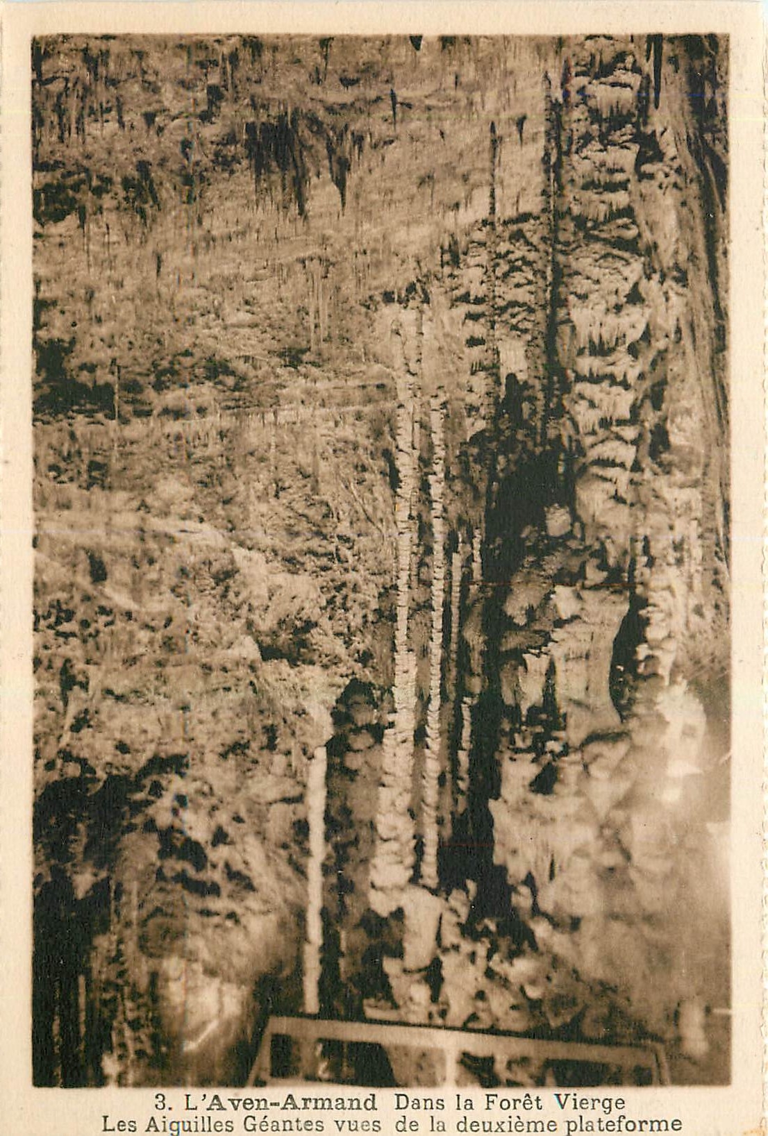 CPA L'Aven Armand Dans la Foret Vierge Les Aiguilles Geantes vues de la deuxieme plateforme 