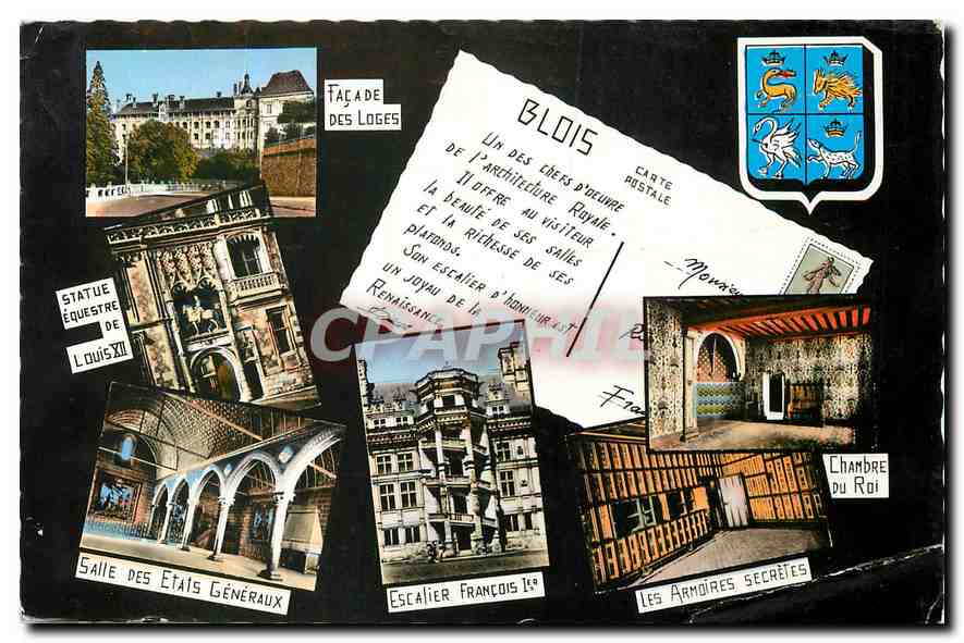 CPA Souvenir du Chateau de Blois 
