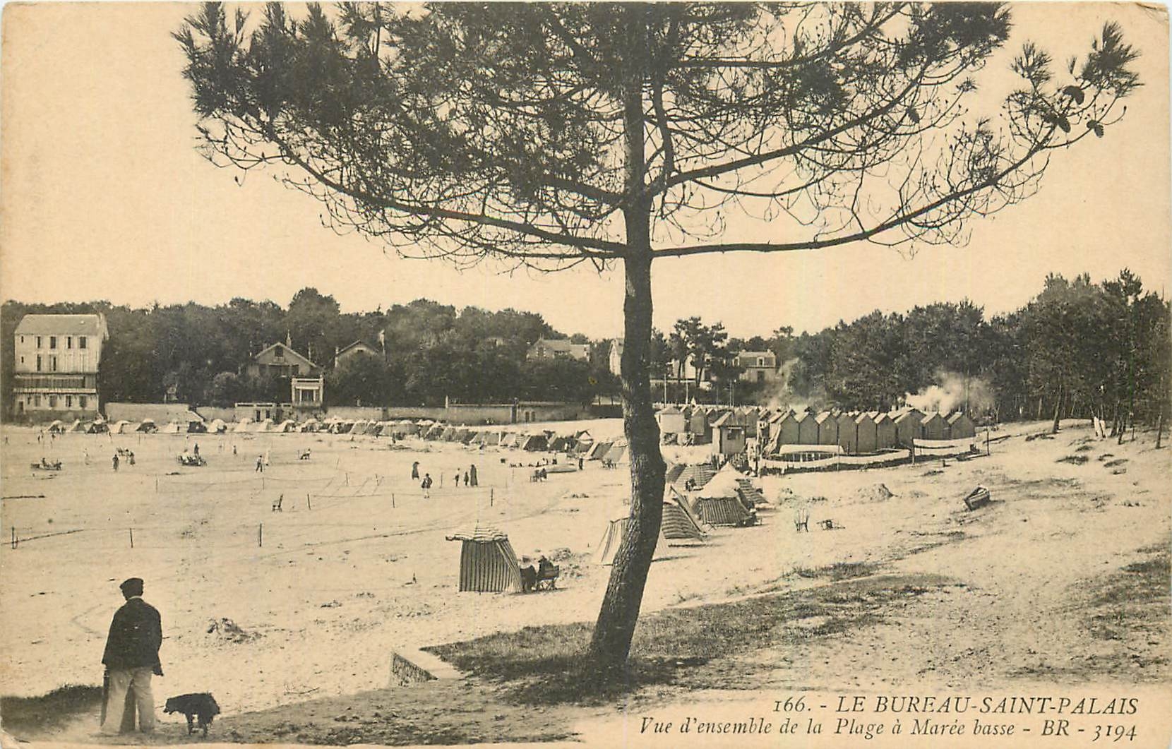 CPA Le Bureau Saint Palais Vue d'ensemble de la Plage a Maree basse 