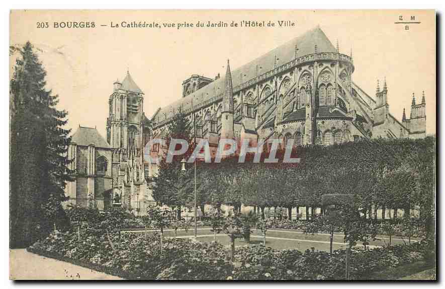 CPA Bourges La Cathedrale vue prise du Jardin de l'Hotel de Ville 