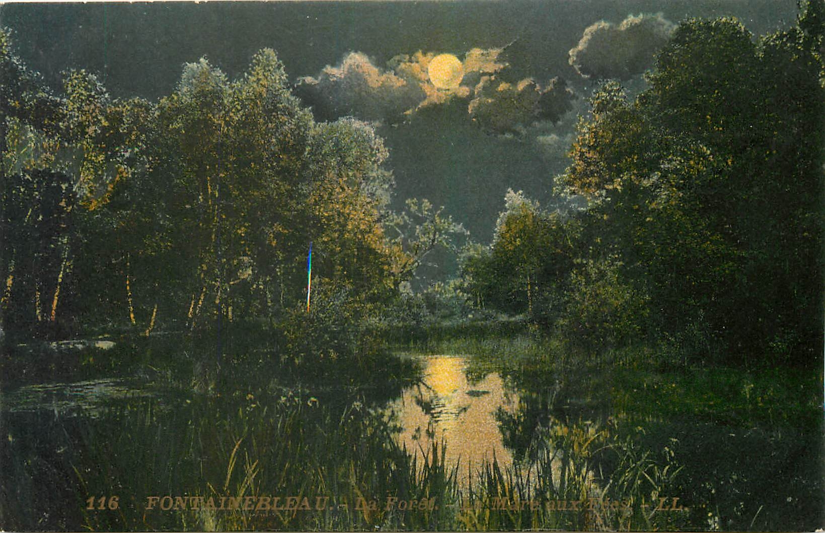 Fontainebleau — La Forêt — Mars aux Tiges — LL — n°116 - Recto