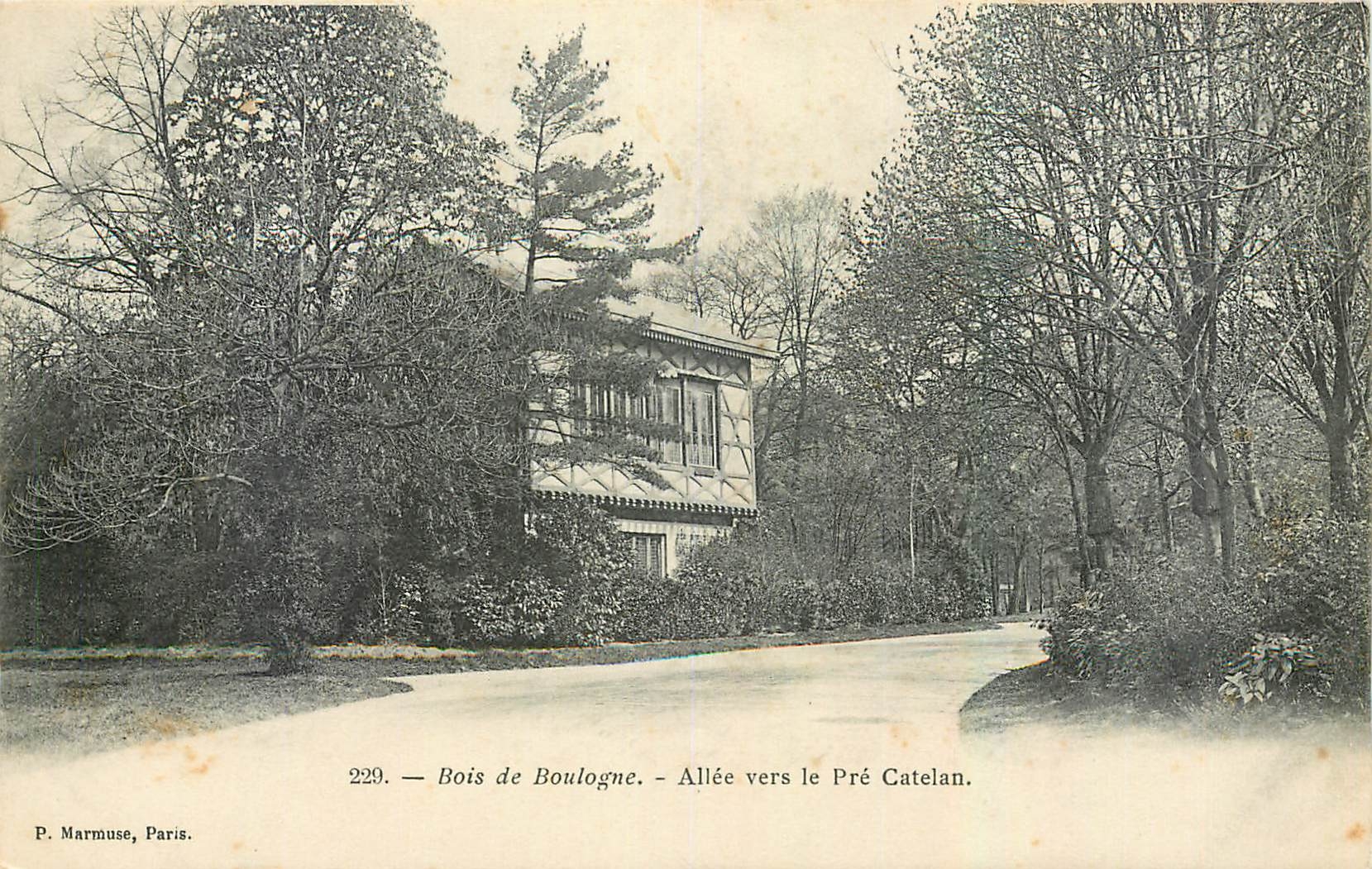 CPA Bois de Boulogne Allee vers le Pre Catelan 