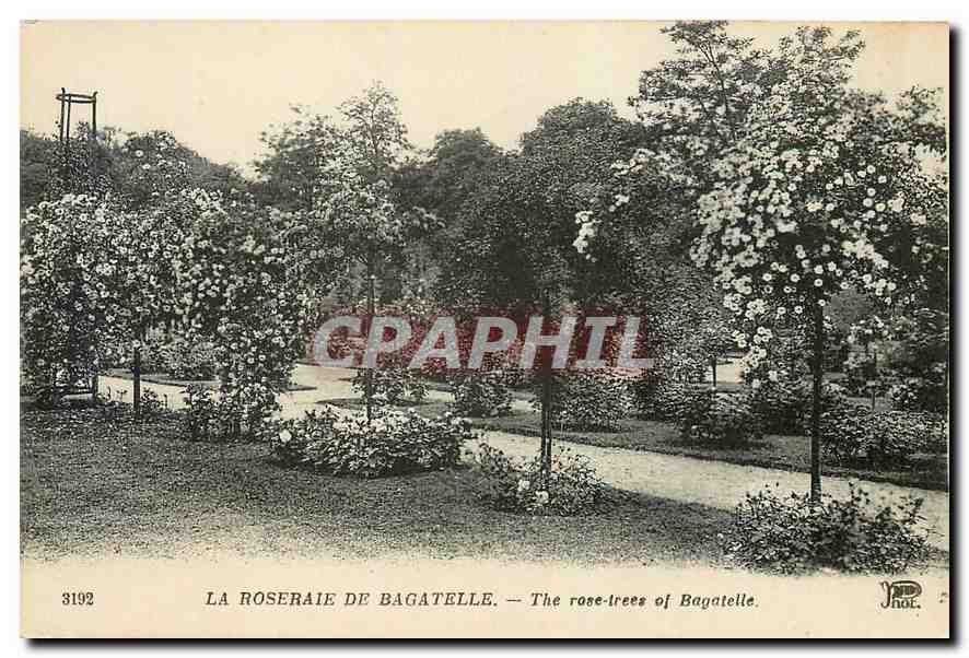 CPA La Roseraie de Bagatelle 
