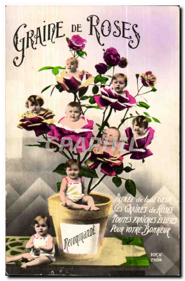 CPA Fantaisie graines de roses (enfants)