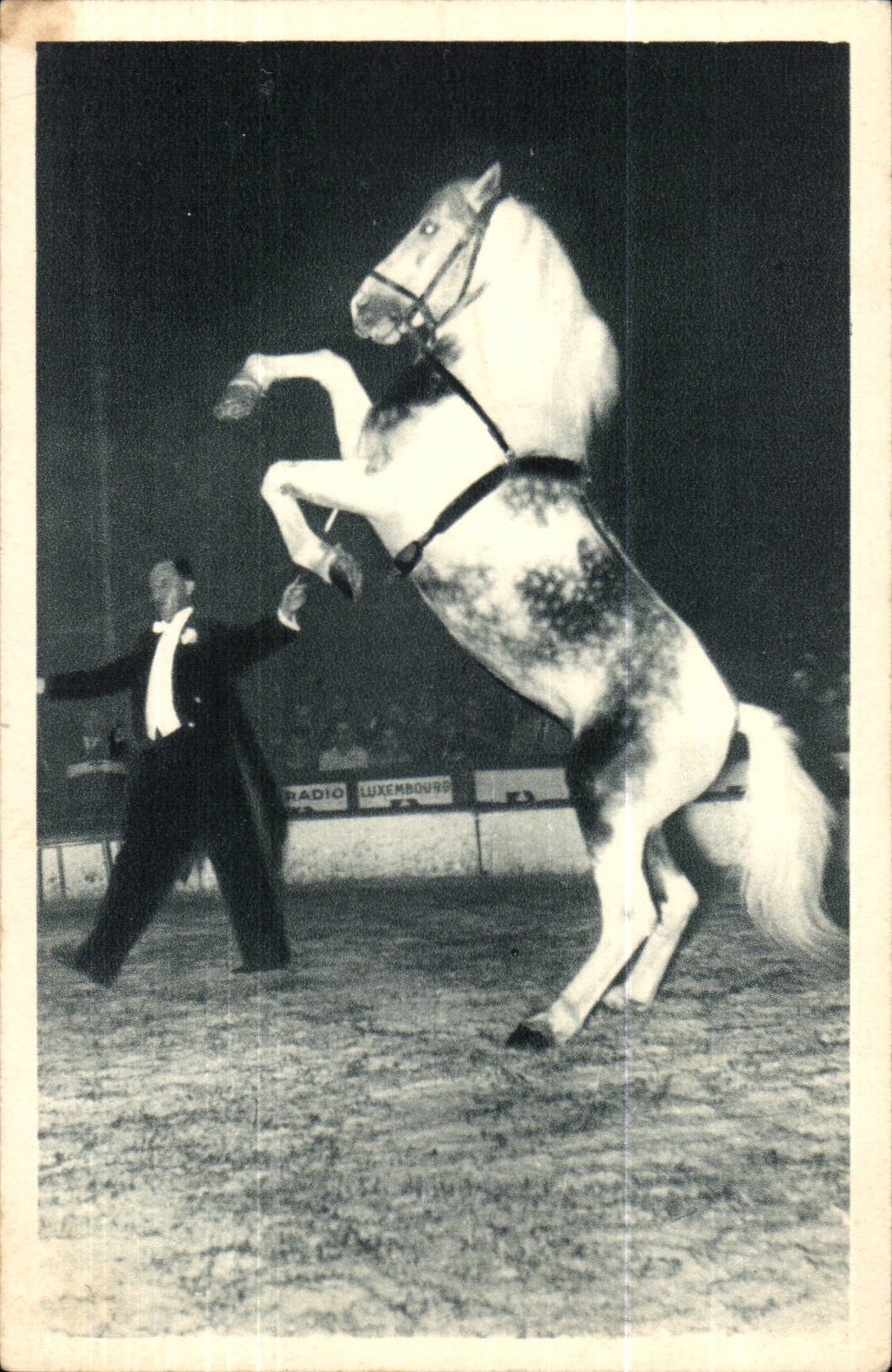 CPA Oural Cheval cabreur presente par maitre ecuyer A L GRuss (cirque circus)