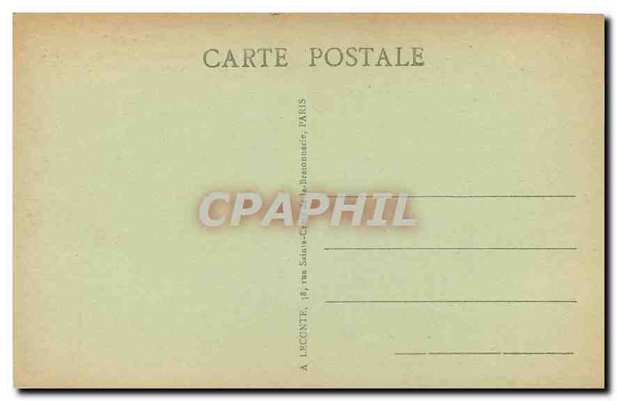 CPA Paris Museum d'Histoire Naturelle Lionne d'Afrique Lion — Rückseite
