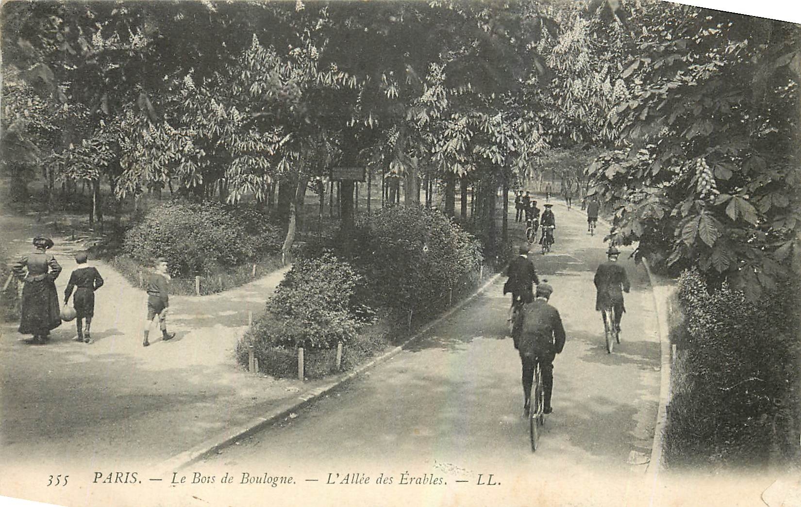 CPA Paris le Bois de Boulogne L'Allee des Erables Velo Cycle