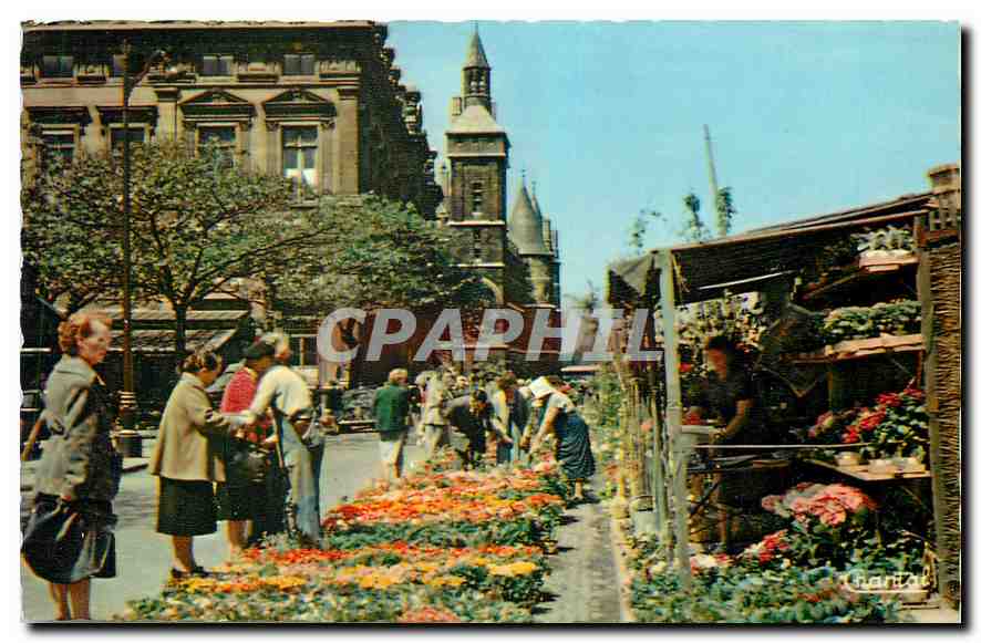 CPA Paris Le Quai aux Fleurs 