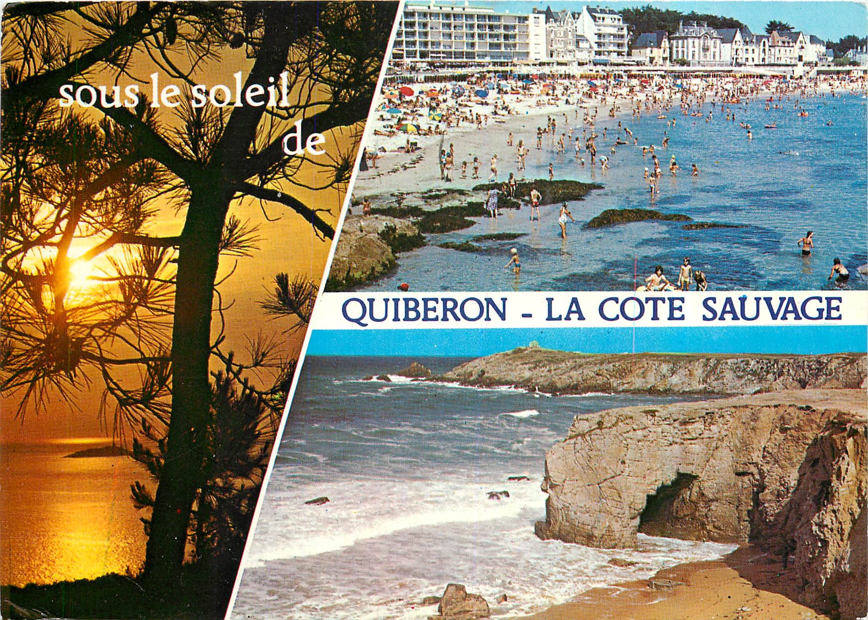 CPM Quiberon Morbihan La Plage La Cote Sauvage l'arche de Port Blanc 