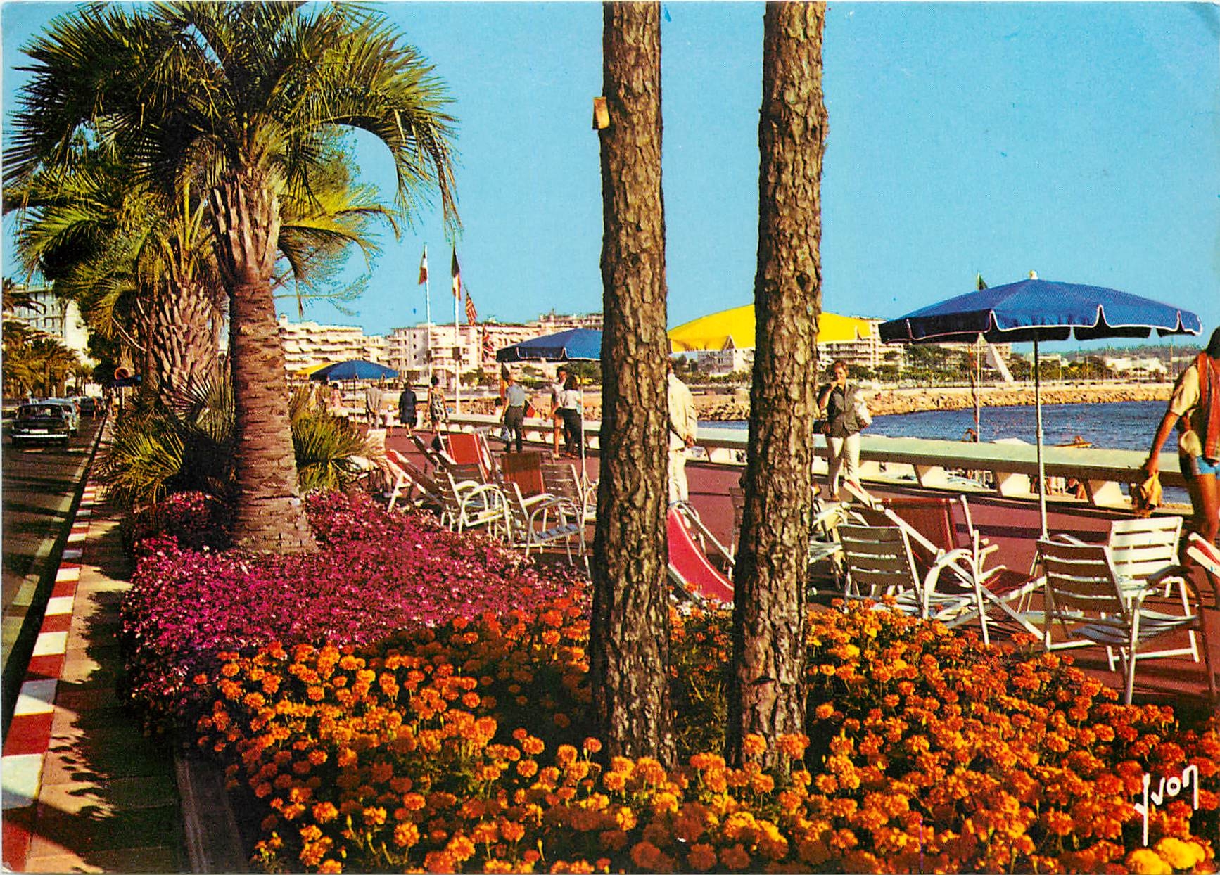 CPM Couleurs et Lumiere de France La Cote d'Azur miracle de la Nature Cannes Alpes Maritimes La Croi