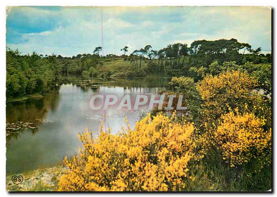 CPM Foret et Riviere de France 