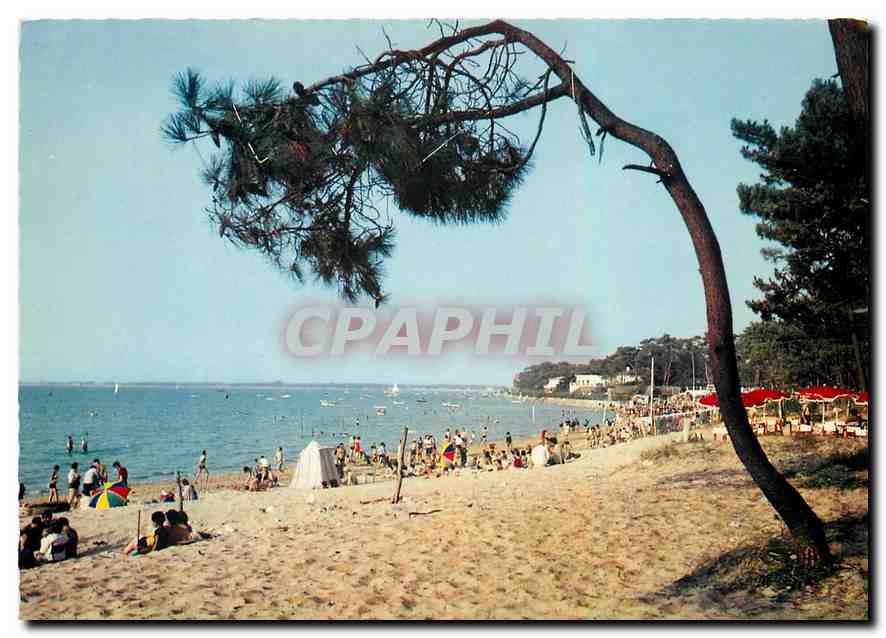 CPM Cote de Beaute Ronce les Bains La Plage de la Cepe 
