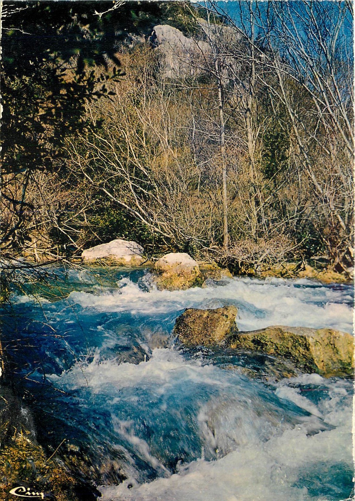CPM St Cezaire sur Siagne Alp Mar La Siagne 