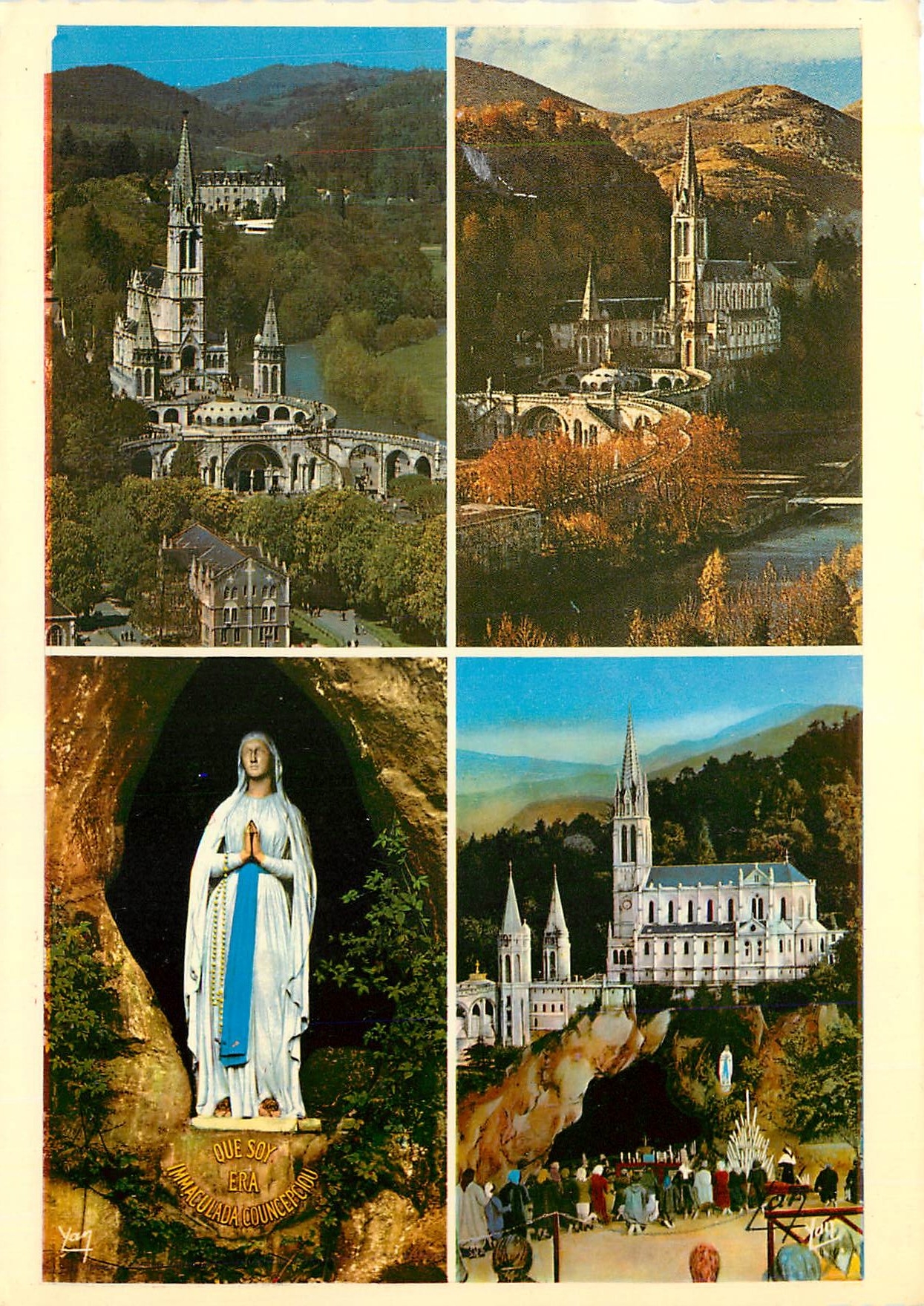 CPM Souvenir de Lourdes La Basilique vue du Chateau Fort La Basilique et le Gave La Vierge de la Gro