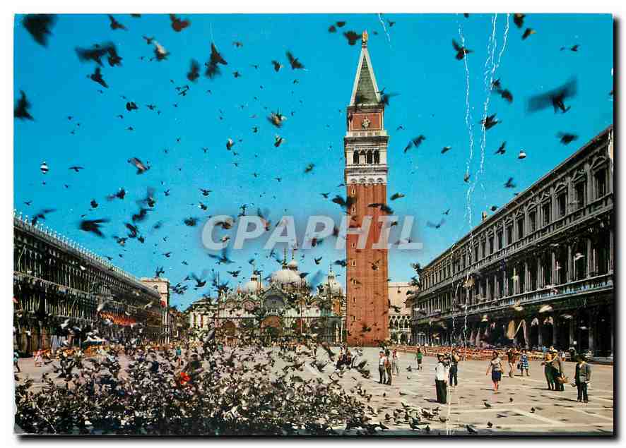CPM Venezia Place St Marc Volee de pigeons 