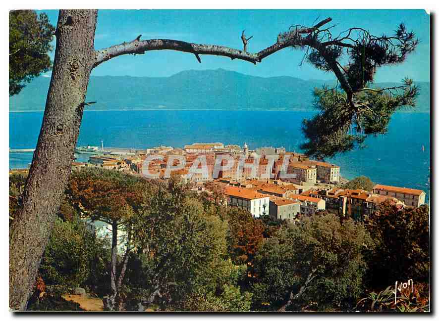 CPM Couleurs et Lumiere de France La Corse oasis de Beaute Ajaccio Vue generale 
