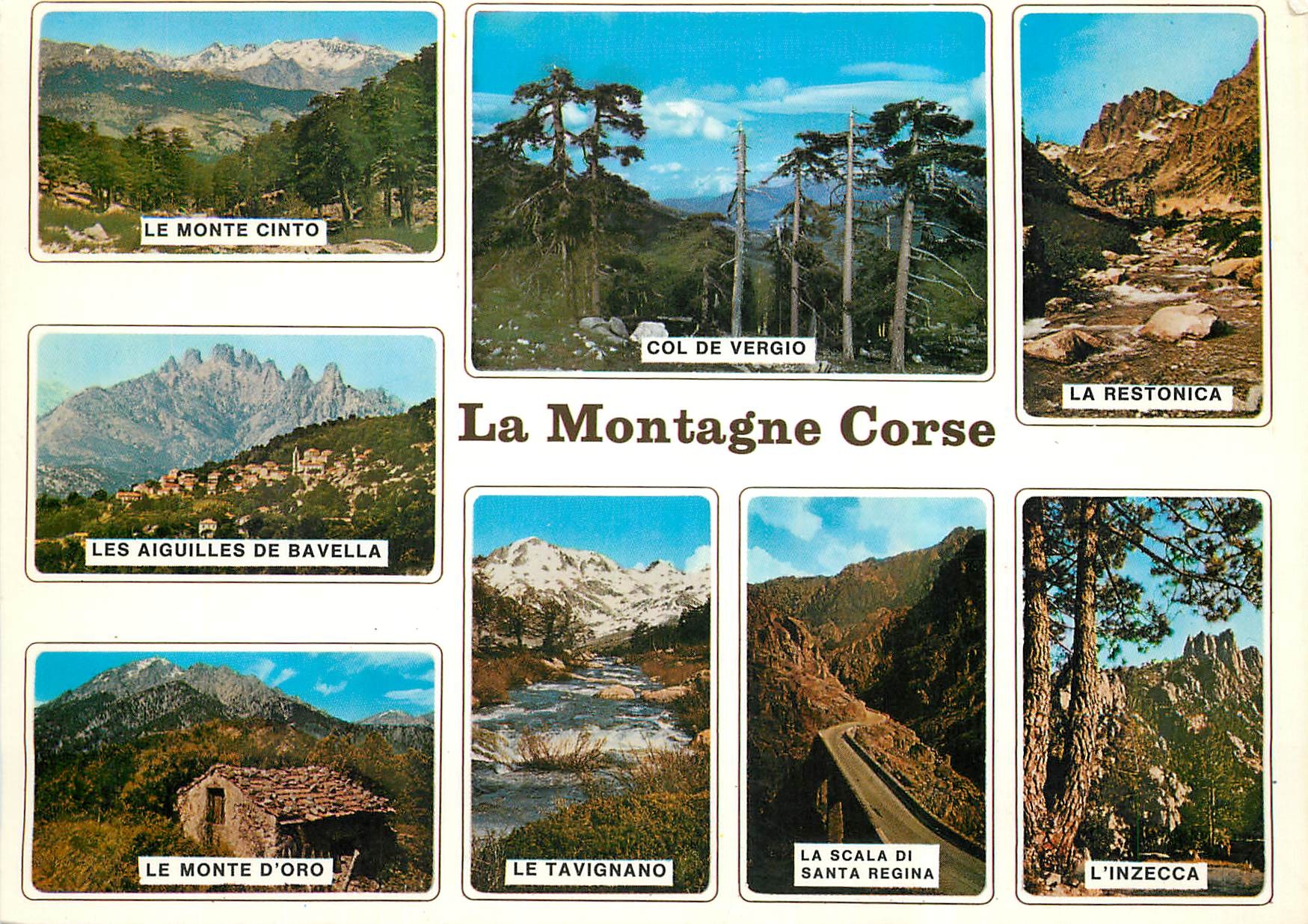 CPM Couleurs et Lumiere de France La Corse Oasis de Beaute La Montagne Corse 