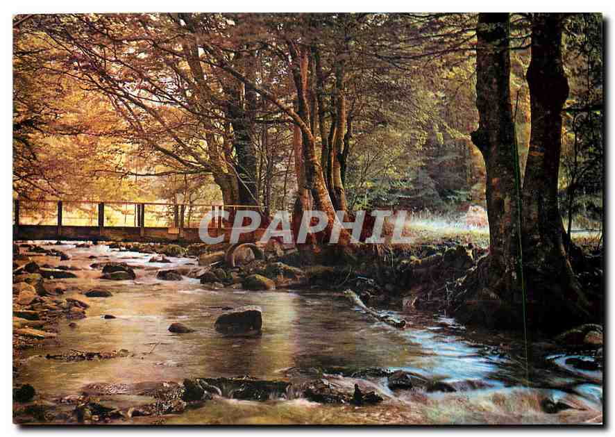 CPM Sites Pyrenees L'Oriege 