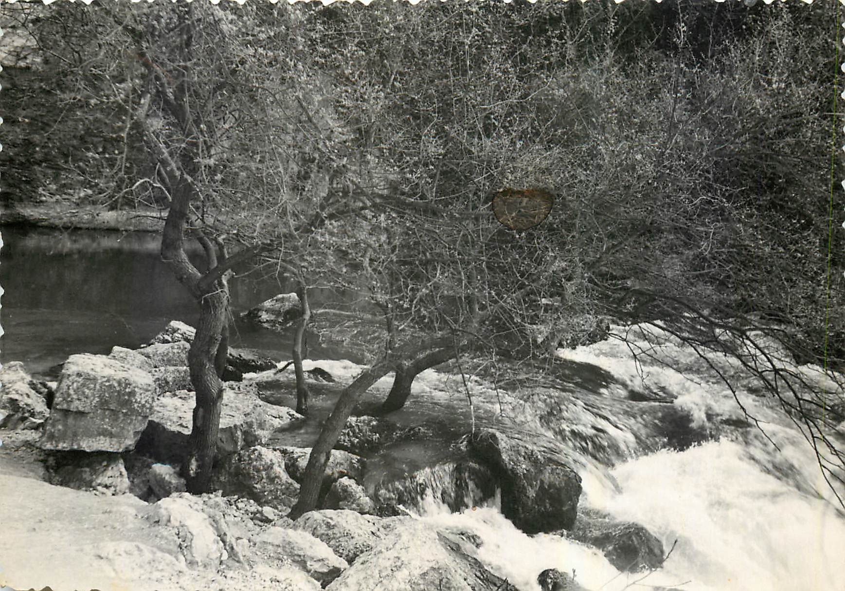 CPM La Fontaine de Vaucluse et son Lac 