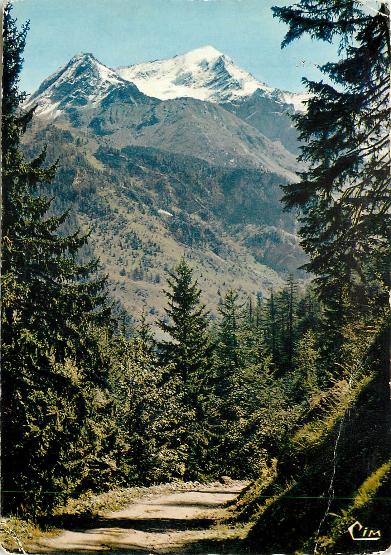 CPM En Tarentaise Savoie Promenade en Foret a Peisey Naneroix Echappee sur le Mont Pourri 