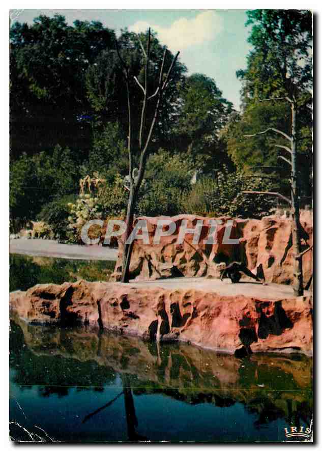 CPM Lyon Parc de la Tete d'Or L'Ile des Singes 