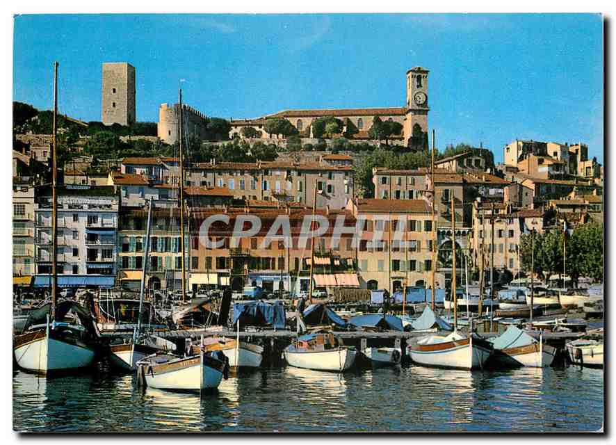 CPM Cannes Un coin du Port le Quai St Pierre et le Suquet 