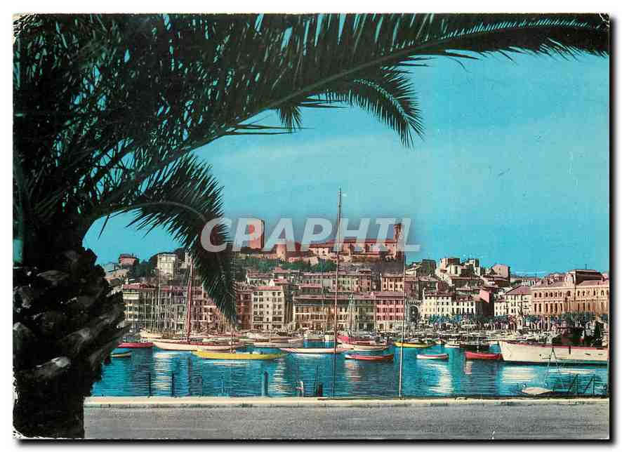 CPM Cannes Vue sur le port et la vieille ville 