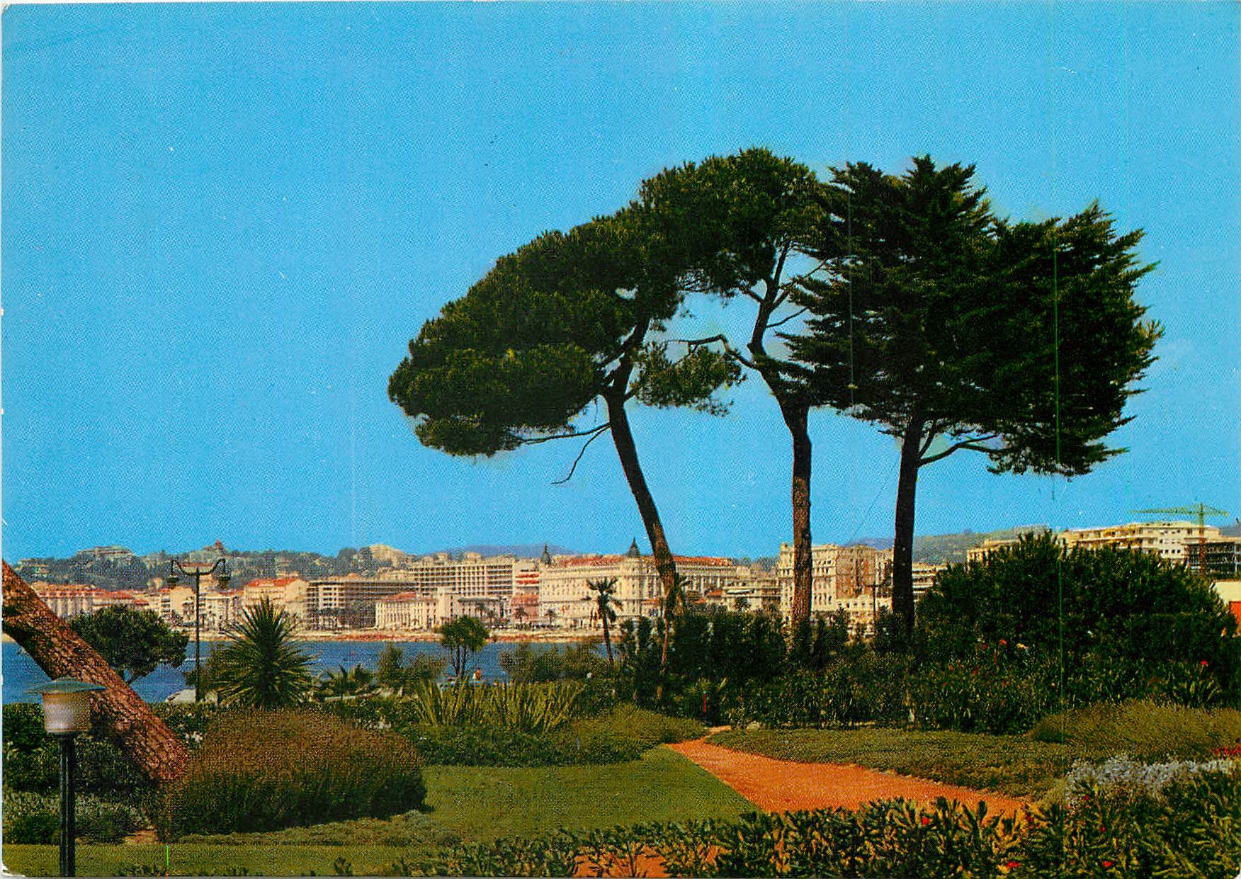 CPM Cannes Vue generale prise depuis les Jardins du Palm Beach 
