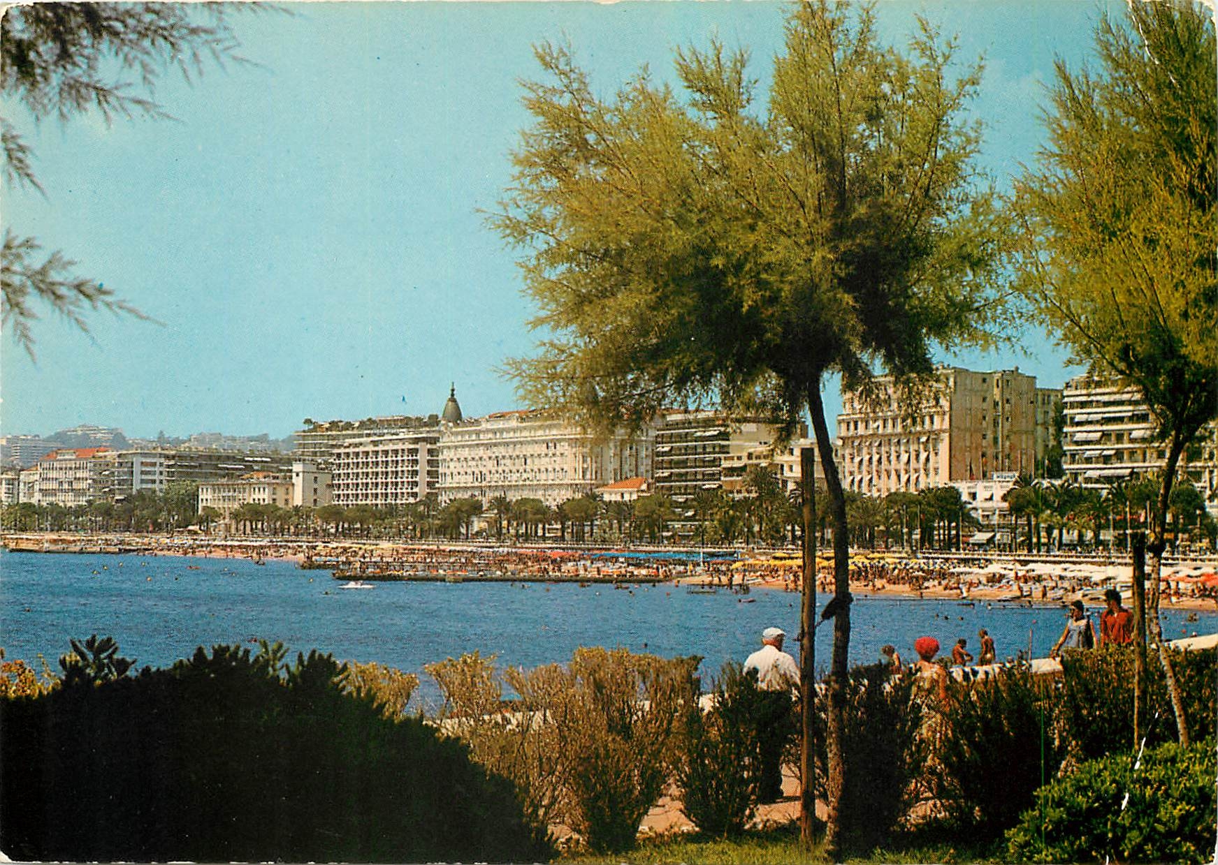 CPM Cannes Une partie de la Croisette vue prise depuis les jardins du Palm Beach 