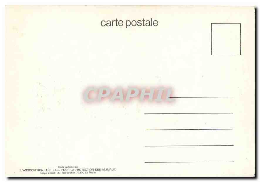 CPM Chat Maitre — Rückseite