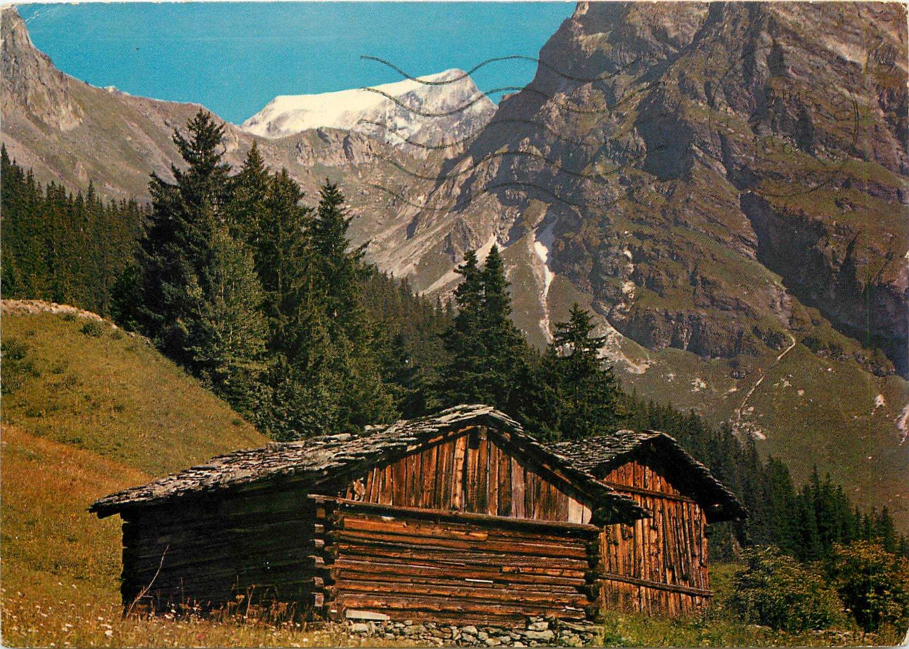 CPM Les Alpes en Couleurs naturelles Petits Chalets a foin en haute montagne 