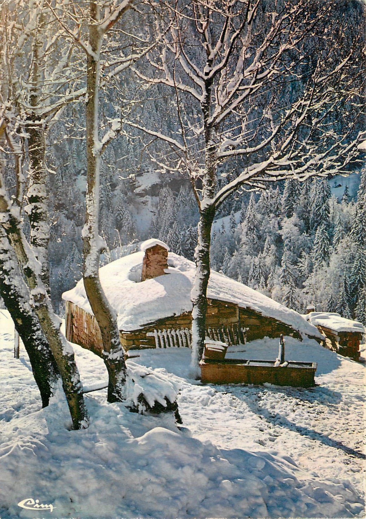 CPM Neige et Soleil Les premiers rayons de soleil 
