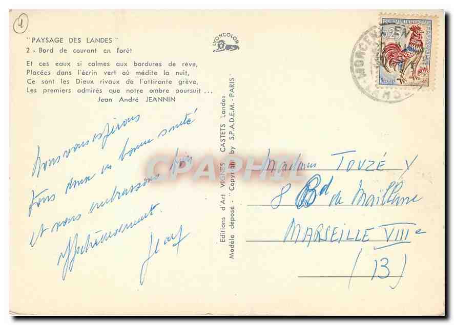 CPM Paysage des Landes Bord de Courant en foret  — Rückseite