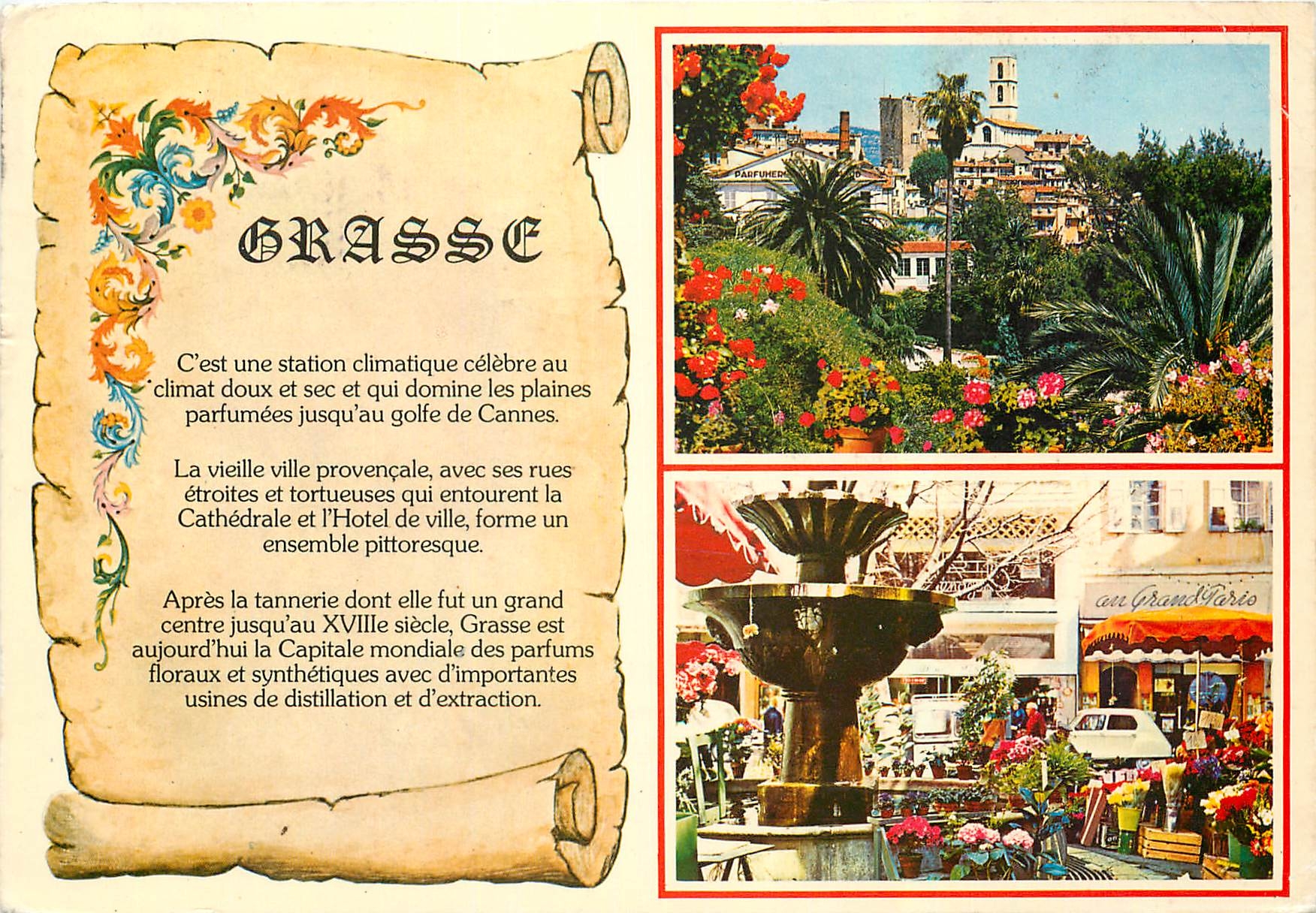 CPM Cote d'Azur Grasse Alpes Maritimes Cite des Fleurs Capitale des parfums 