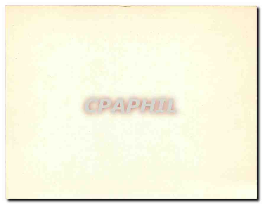 CPM  — Rückseite