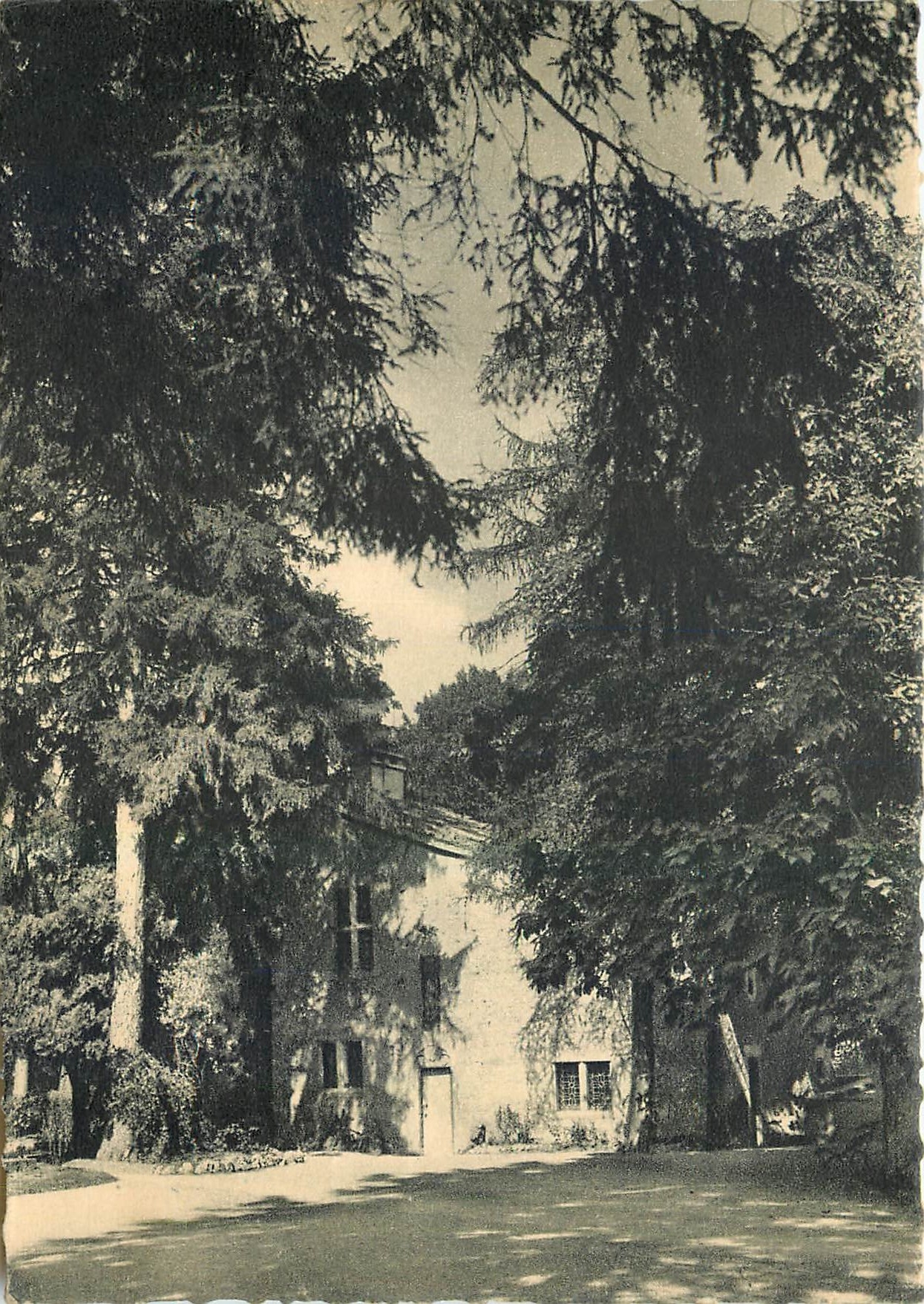 CPM Domremy la Pucelle Maison de Sainte Jeanne D'Arc 