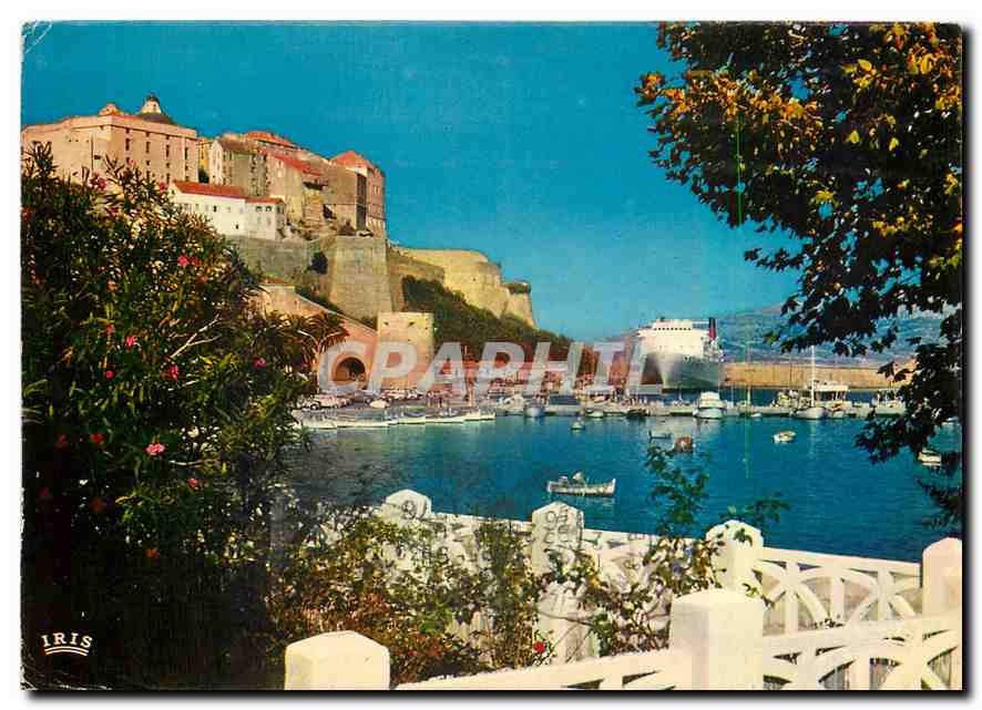 CPM Charmes et Couleurs de la Corse Calvi Corse Le Comte de Nice dans le Port 