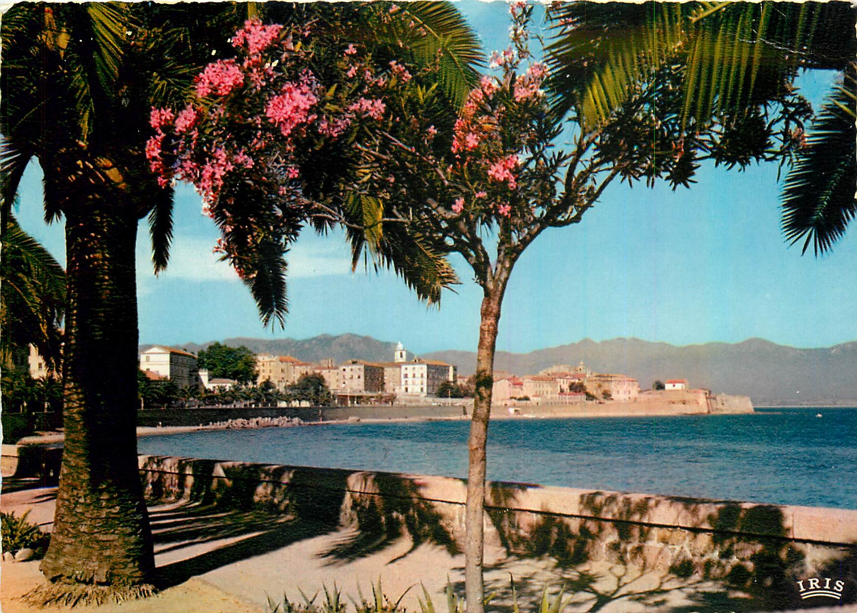 CPM Charmes et Couleurs de la Corse Ajaccio Vue prise du Boulevard Lantivy 