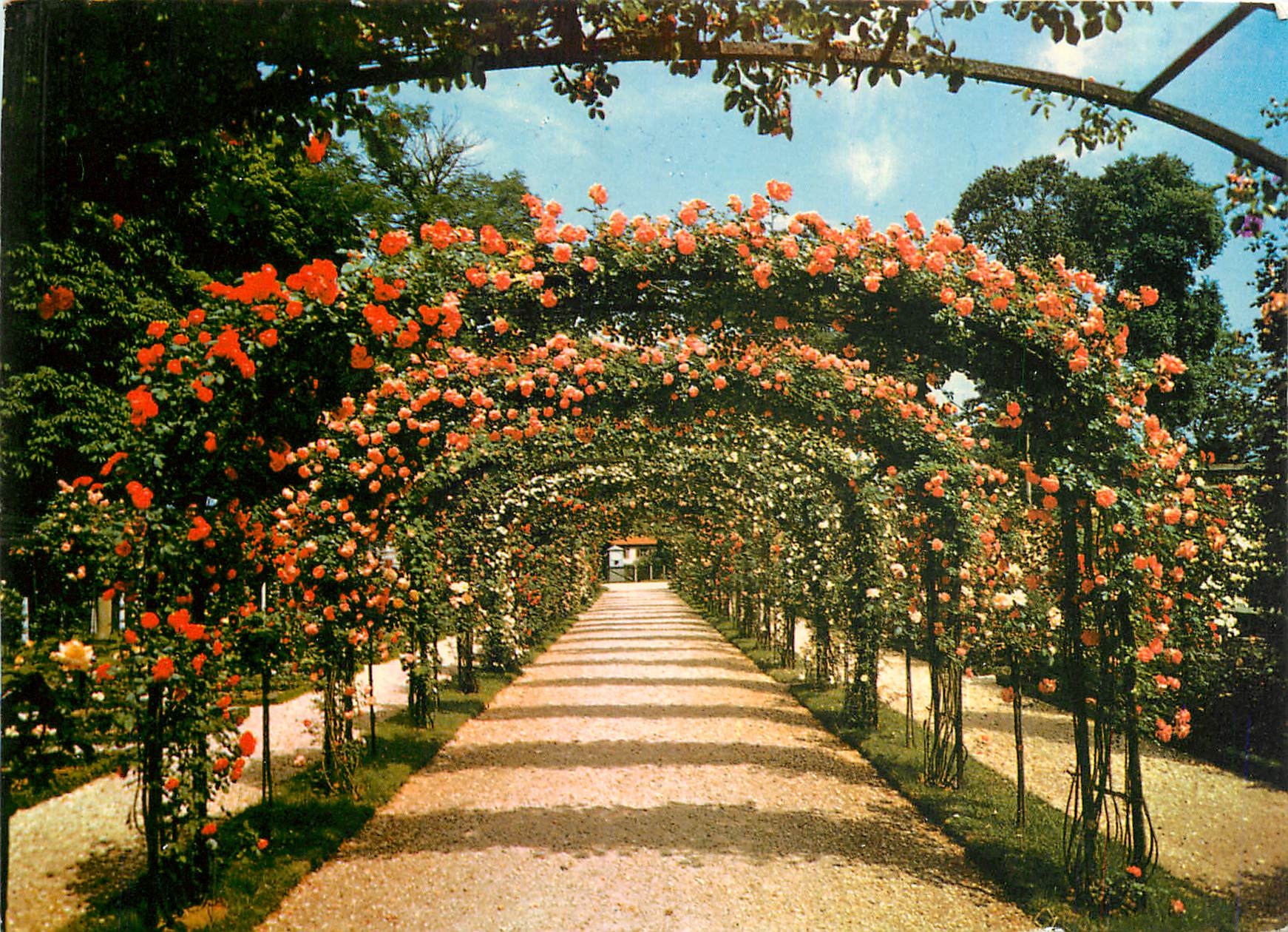 CPM Images de France L'Hay les Rosses La Roseraie 
