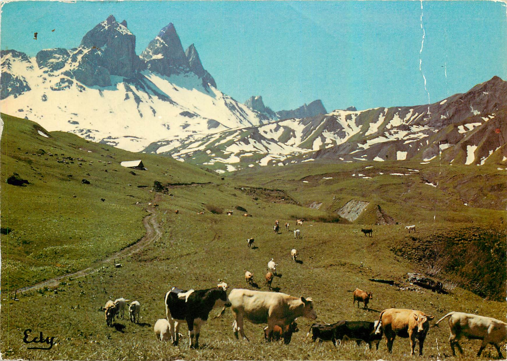 CPM Images de Chez Nous Dans les hauts paturages Vaches