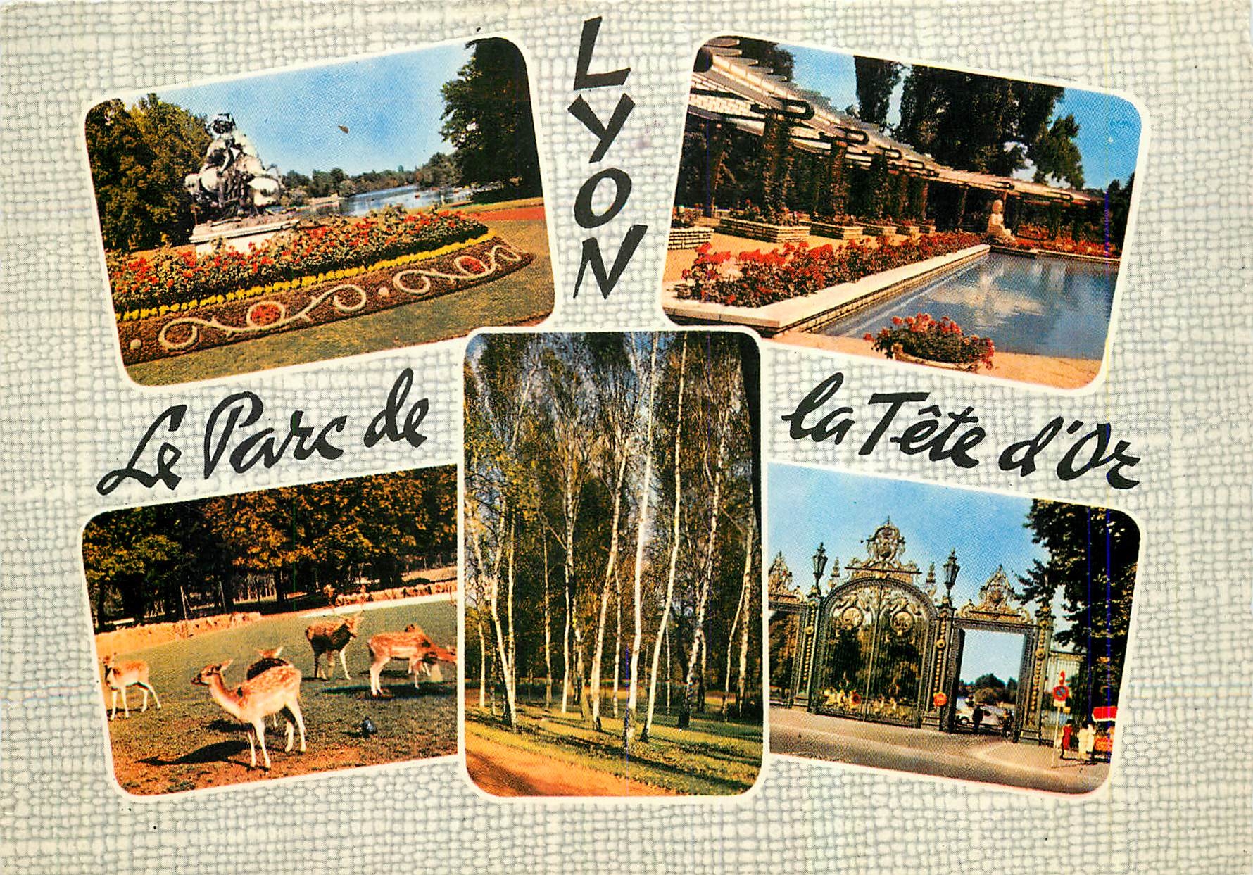 CPM Lyon Le Parc de la Tete d'Or Le Lac La roseraie le troupeau de daims le bois de bouleaux les gri