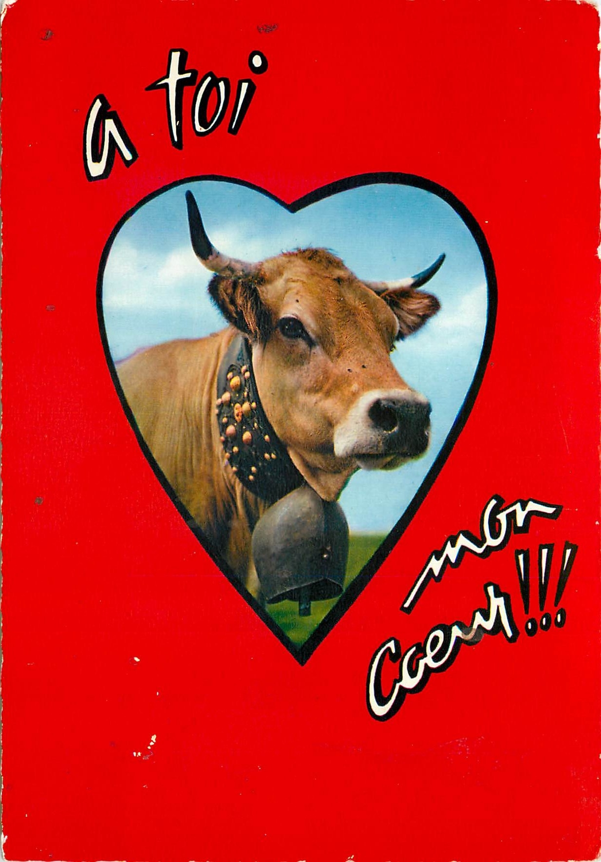 CPM Vache