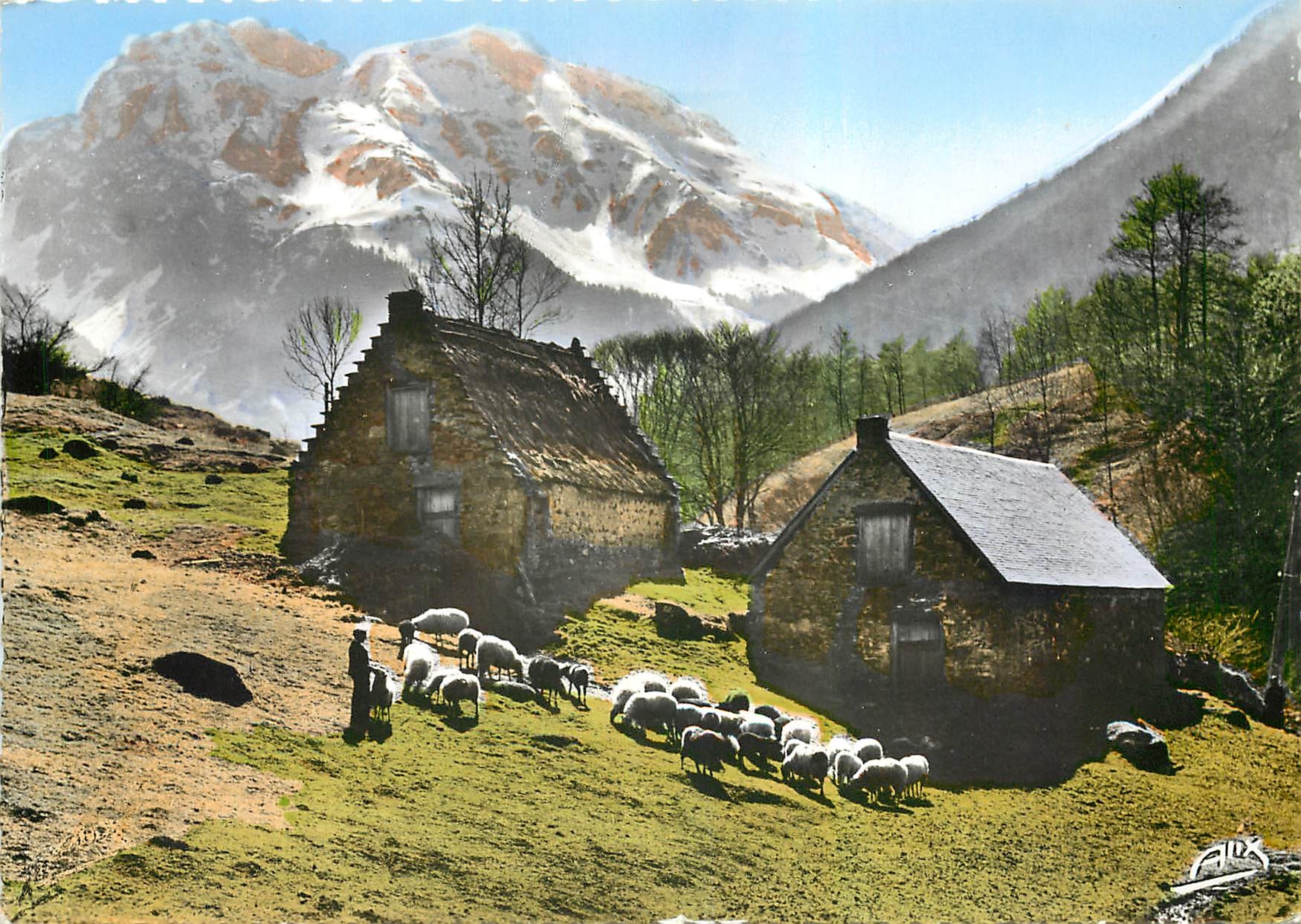 CPM Les Pyrenees Bergers au fond le Massif des Bizourteres 