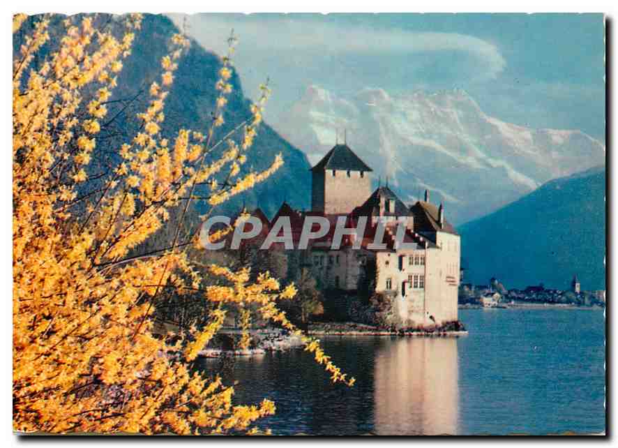 CPM Lac Leman Chateau de Chillon et les Dents du Midi 