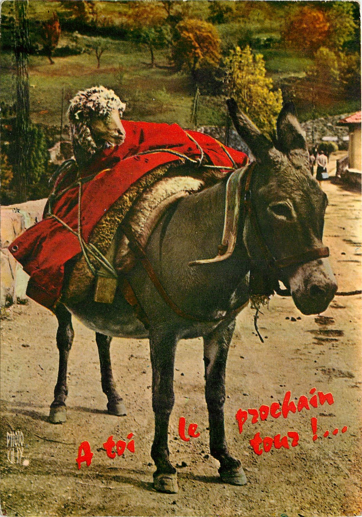 CPM Ane Mule
