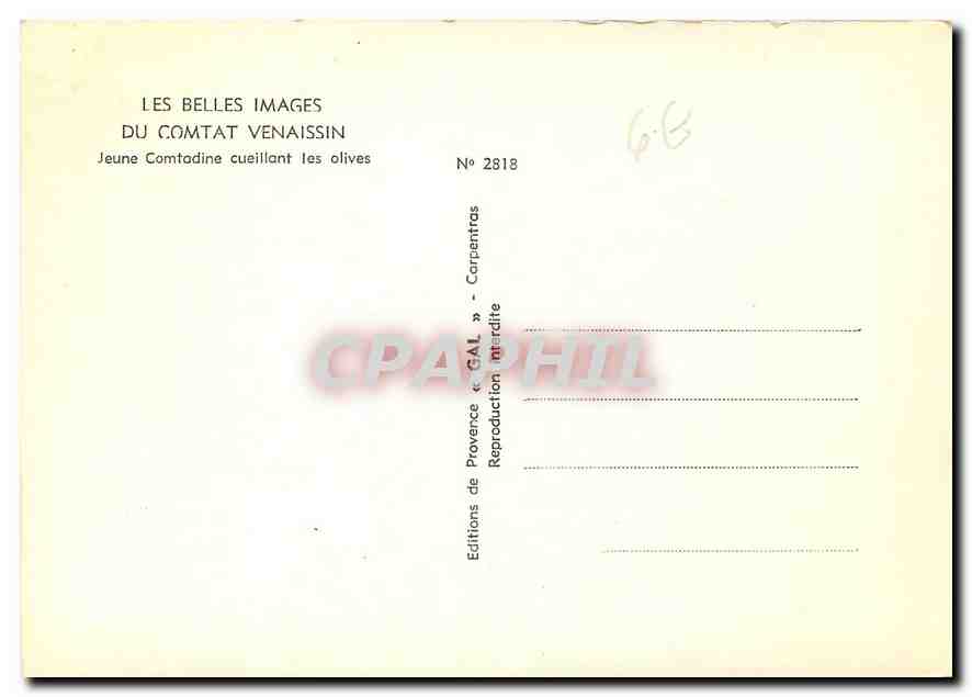 CPM Les Belles Images du Comtat Venaissin Jeune Comtadine cueillant les olives  — Rückseite