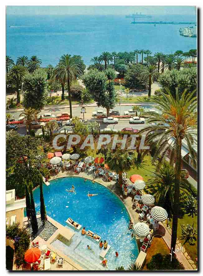 CPM Couleurs et Lumiere de France La Cote d'Azur miracle de la nature Cannes Alpes Maritimes La Psci