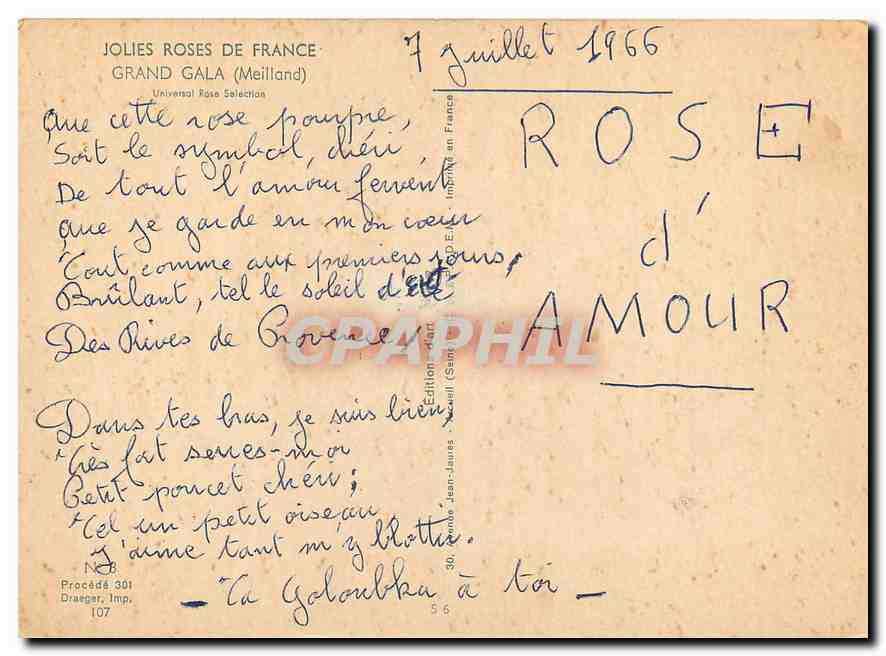 CPM Jolies roses de France Grand Gala Meiland  — Rückseite